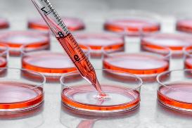 Чашки Петри культуральные