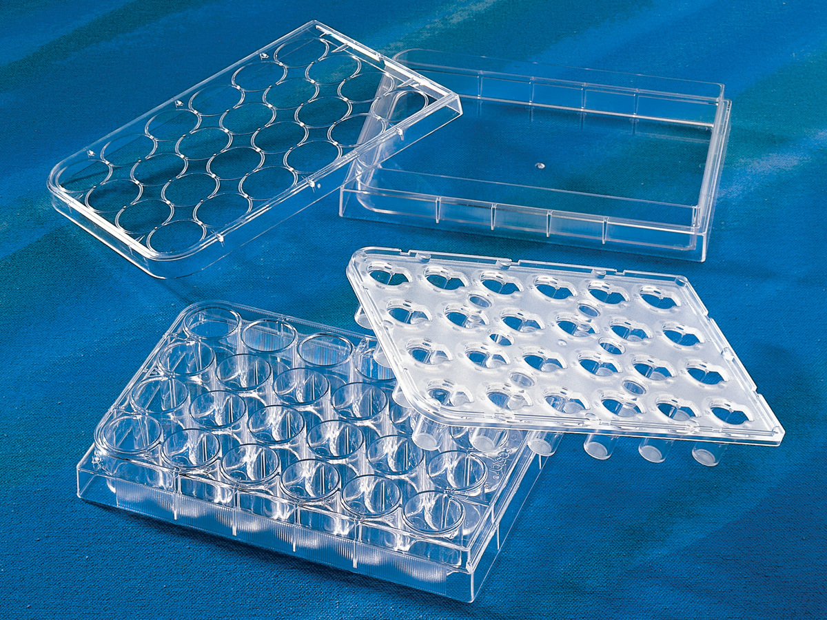 24 well. пластиковые 96. 3524, планшеты 24-луночные с крышкой,культуральные, корнинг инк. 96 луночный планшет со средой dmem. 24 well.