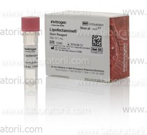 Липофектамин Lipofectamine Stem