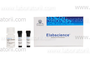 Набор для клеточного анализа Annexin V-FITC/DAPI Apoptosis Kit, 100 анализов