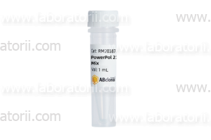 Смесь для ПЦР PowerPol 2X PCR Mix