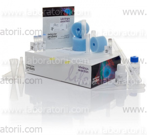 Набор для флюоресцентного мечения белков Alexa Fluor 546