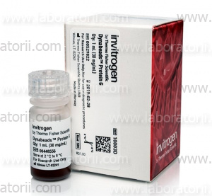 Dynabeads Protein G