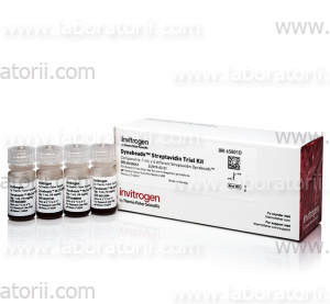 Магнитные частицы набор Dynabeads Streptavidin Trial Kit