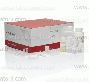Набор PureLink Genomic Plant DNA Purification Kit, изображение 3