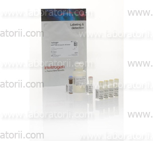 Набор Qubit RNA HS Assay для количественного определения РНК (диапазон 5—100 нг)