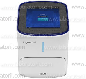 Гель документирующая система iBright™ FL1000