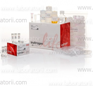 Набор Precision gRNA Synthesis Kit