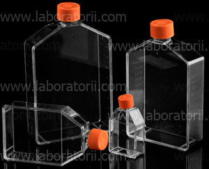 Флакон для культуральных работ, объем 75 см2, вентилируемая крышка, TC-treated, стерильные, не содержит ДНКаз, РНКаз, пирогенов
