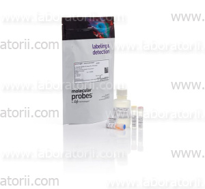 Набор Qubit dsDNA HS Assay Kit для количественного определения ДНК