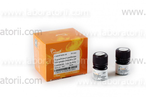 Набор TransDetect Luciferase Mycoplasma Detection
