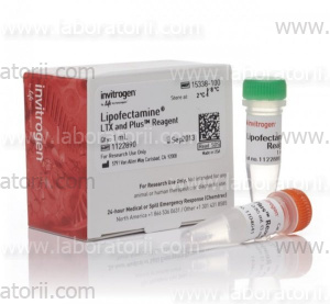 Lipofectamine LTX с реагентом Plus, 1 мл