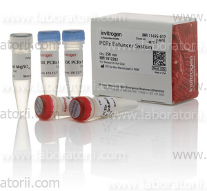 PCRX Enhancer System