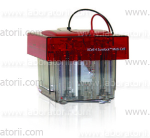 Камера для электрофореза XCell4 SureLock™ Midi-Cell
