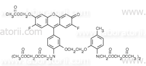 Fluo-4, AM, cell permeant, изображение 2