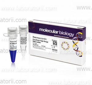 ДНК-маркер GeneRuler High Range DNA Ladder