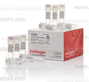 Мастер-микс Platinum Hot Start PCR