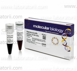 ДНК-маркер GeneRuler 1 kb DNA Ladder, ready-to-use