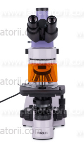 Микроскоп люминесцентный цифровой MAGUS Lum D400L, изображение 16