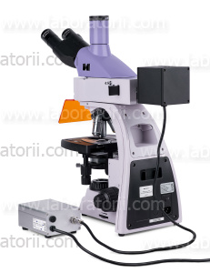 Микроскоп люминесцентный цифровой MAGUS Lum D400L, изображение 15