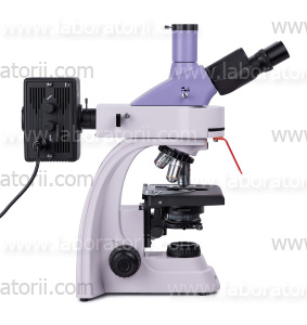 Микроскоп люминесцентный цифровой MAGUS Lum D400, изображение 10