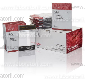Агарозный гель E-Gel высокого разрешения, 4%