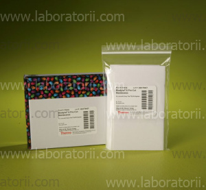 Нейлонная мембрана Biodyne A 0,45 мкм, 8 см х 12 см