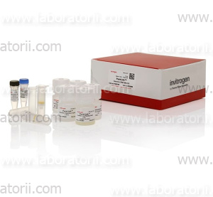 Набор PureLink Genomic Plant DNA Purification Kit, изображение 2