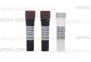 Мастер микс Entrans 2X qPCR Probe with UDG