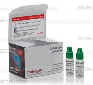 Набор SYTOX Green Ready Flow