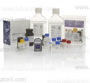Набор реагентов CytoScan ™ HD Plus 96