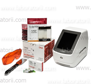 E-Gel™ Power Snap Starter Kit, EX 2%