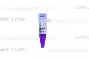Маркер молекулярного веса ДНК Trans DNA Marker II 10-1500 п.о