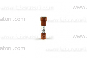 Набор для подсчета клеток TransDetect Cell Counting Kit (CCK)