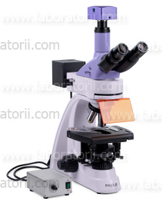 Микроскоп люминесцентный цифровой MAGUS Lum D400L, изображение 14