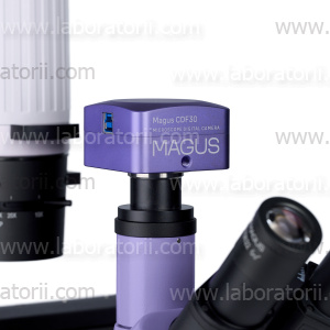 Микроскоп биологический инвертированный цифровой MAGUS Bio VD300, изображение 16