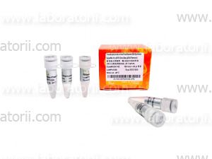 Супермикс для синтеза кДНК первой цепи TransScript Uni All-in-One для qPCR