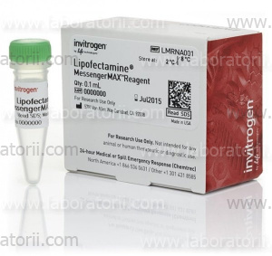 Lipofectamine Messenger MAX