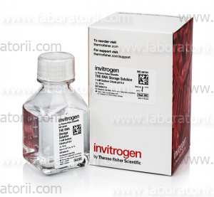 Раствор для хранения РНК Ambion RNA Storage Solution, изображение 1
