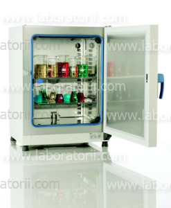 Микробиологический инкубатор Heratherm IMH60 SS