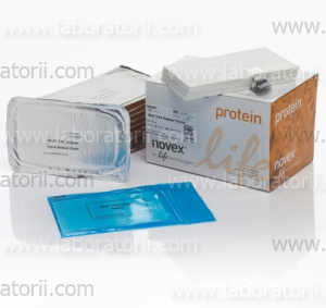 Стеки для переноса iBlot 2, нитроцеллюлоза