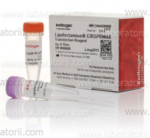 Lipofectamine CRISPRMAX Cas9
