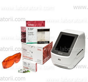 E-Gel™ Power Snap Starter Kit, SYBR Safe 2%