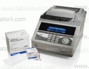 GeneAmp ™ Fast PCR Master Mix (2X)