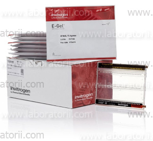 Агарозный гель E-Gel, 1%, 8 кассет