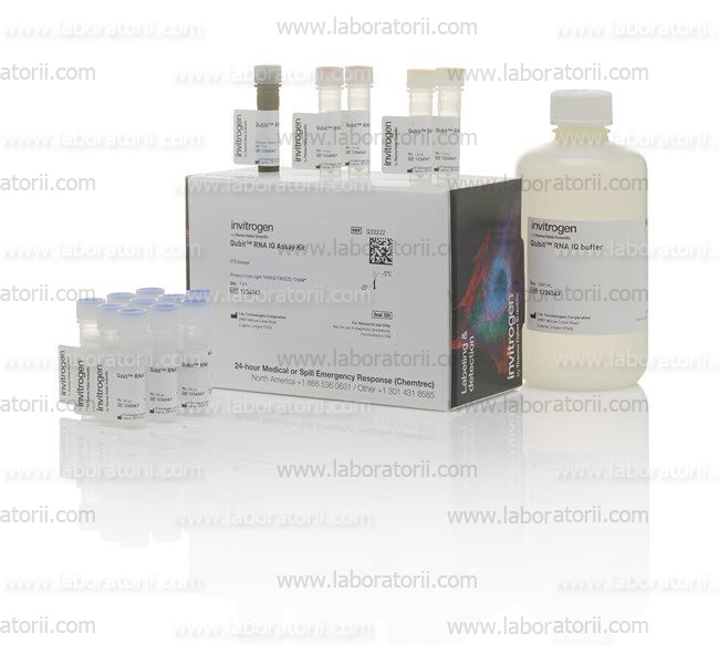 Набор Qubit RNA IQ Assay Kit купить в интернет магазине Пущинские