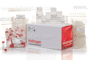 Набор PureLink Microbiome DNA Purification Kit