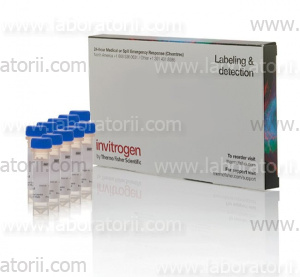 Fluo-4, AM, cell permeant, изображение 1