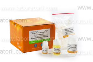 Набор для выделения из геля EasyPure, 50 выделений