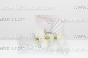 Набор для выделения плазмидной ДНК  AFTSpin Plasmid Mini Kit